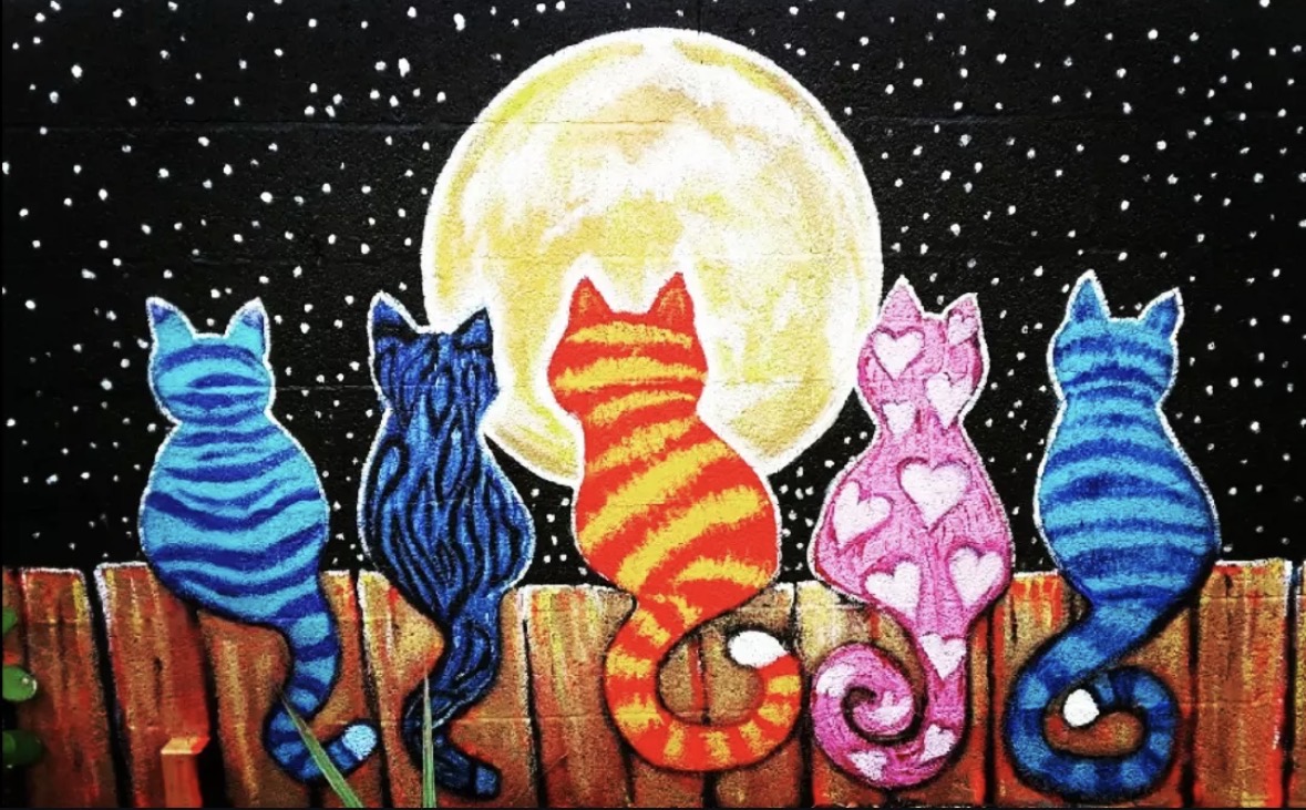 Vet clinic cat mural